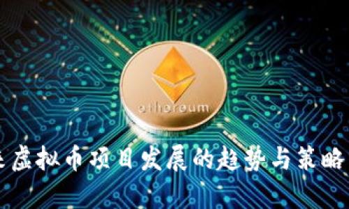 未来虚拟币项目发展的趋势与策略分析