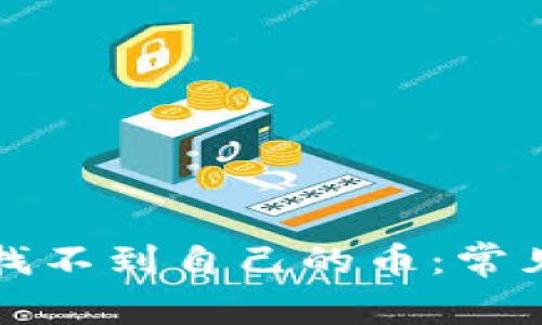 如何解决TP钱包找不到自己的币：常见问题与解决方案