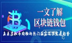 未来虚拟币购物的热门国