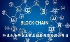 SN虚拟币的未来发展趋势与