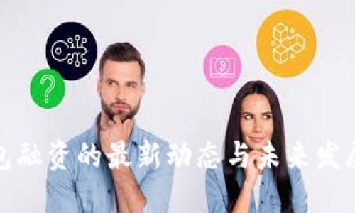 TP钱包融资的最新动态与未来发展趋势