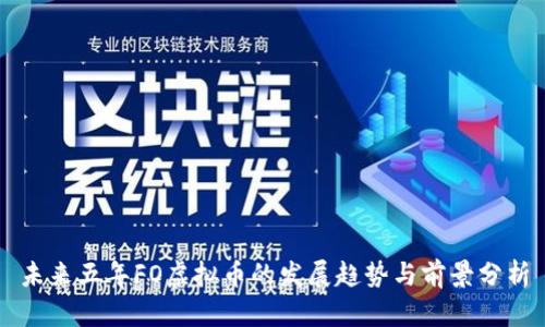 未来五年FO虚拟币的发展趋势与前景分析