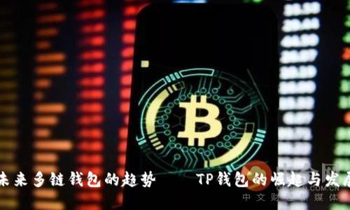未来多链钱包的趋势——TP钱包的崛起与发展