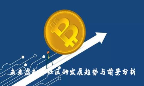 未来虚拟币社区的发展趋势与前景分析