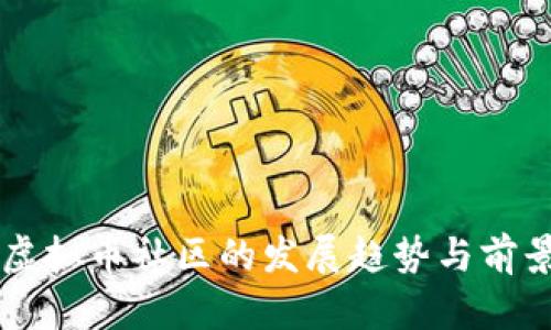 未来虚拟币社区的发展趋势与前景分析
