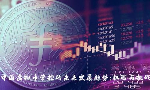 中国虚拟币管控的未来发展趋势：机遇与挑战