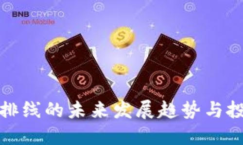 虚拟币排线的未来发展趋势与投资机会