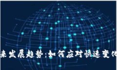 虚拟币会计的未来发展趋
