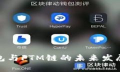TP钱包与FTM链的未来发展趋
