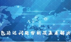 TP钱包延迟问题分析及未来