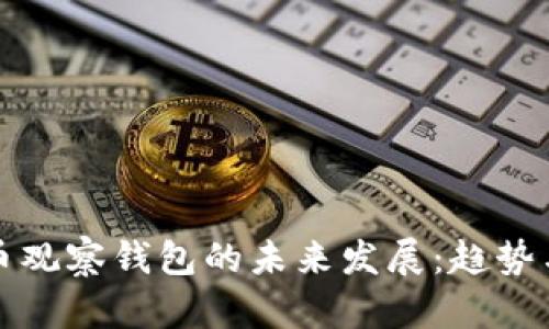 虚拟币观察钱包的未来发展：趋势与洞察