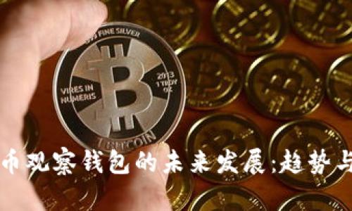 虚拟币观察钱包的未来发展：趋势与洞察