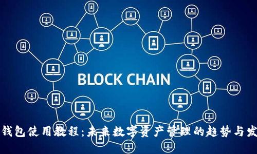 TP钱包使用教程：未来数字资产管理的趋势与发展