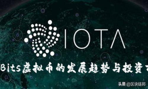 2024年Bits虚拟币的发展趋势与投资前景分析