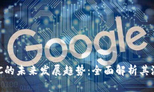 虚拟币DDC的未来发展趋势：全面解析其潜力与挑战