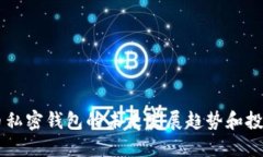 虚拟币私密钱包的未来发