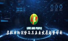 虚拟币的优势及其未来发