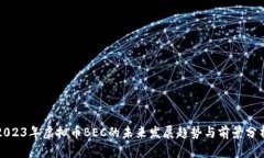 2023年虚拟币BEC的未来发展