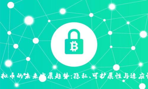 Verge虚拟币的未来发展趋势：隐私、可扩展性与适应性的革命