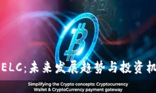 虚拟币ELC：未来发展趋势与投资机会分析