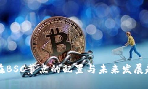 TP钱包在BSC节点的配置与未来发展趋势分析