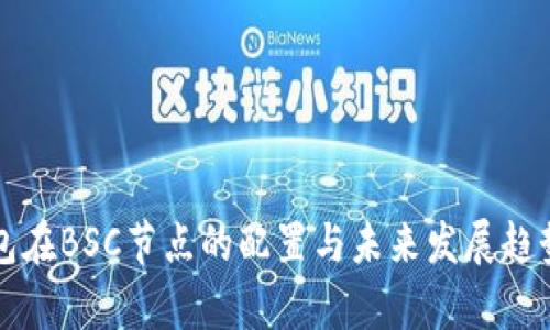 TP钱包在BSC节点的配置与未来发展趋势分析