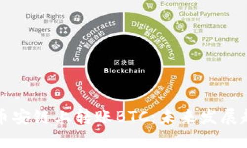 TP钱包如何在币安链上转账BTC：未来发展趋势与操作指南