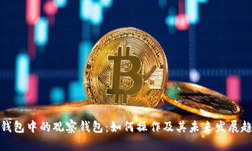 TP钱包中的观察钱包：如何操作及其未来发展趋势