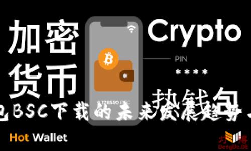 TP钱包BSC下载的未来发展趋势与指导
