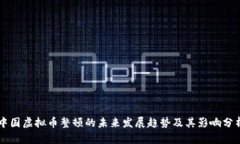 中国虚拟币整顿的未来发