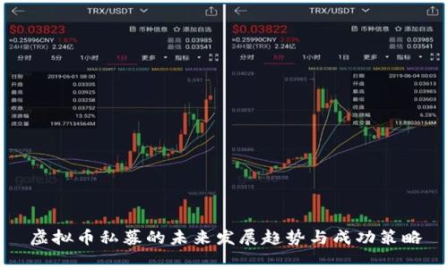 虚拟币私募的未来发展趋势与成功策略